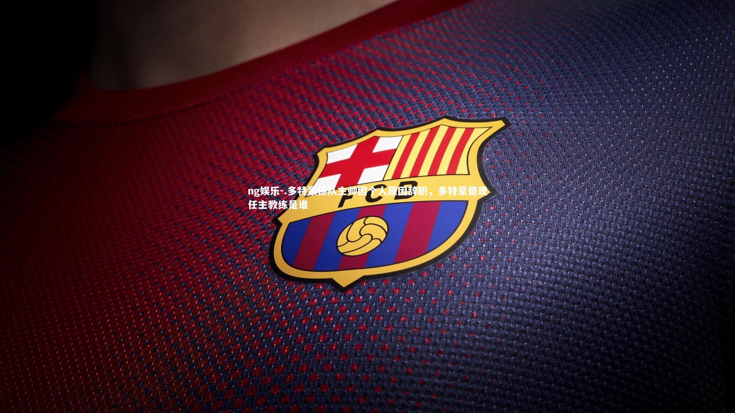 .多特蒙德队主帅因个人原因辞职，多特蒙德现任主教练是谁