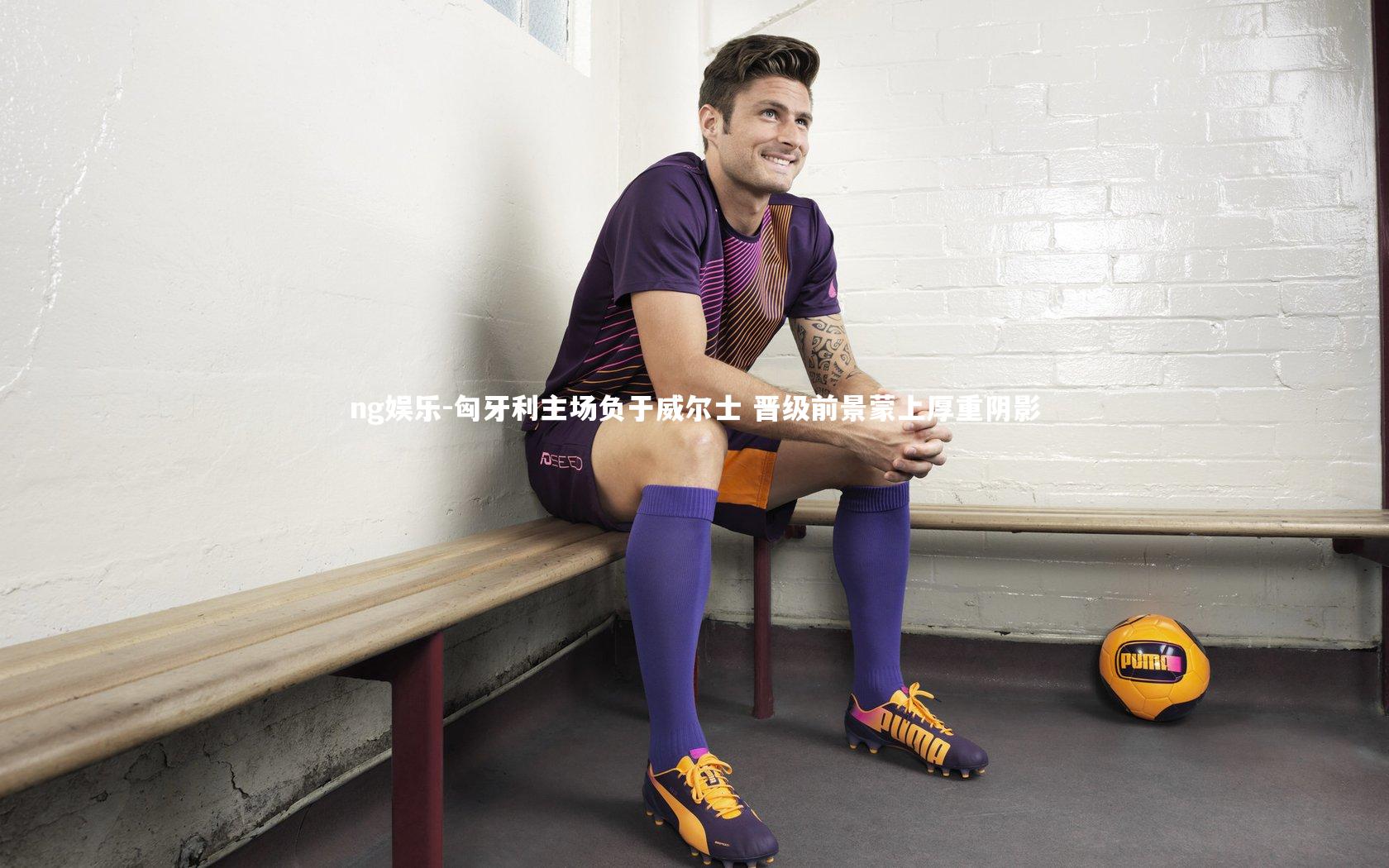 匈牙利主场负于威尔士 晋级前景蒙上厚重阴影